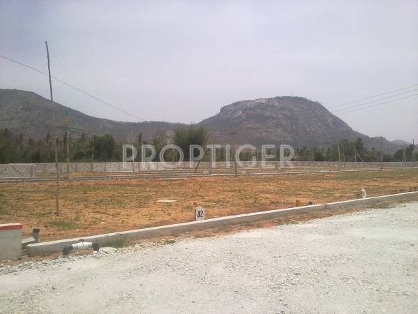 Images for Elevation of Transcity Royal Paradise