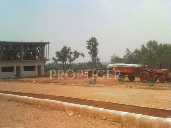 Images for Main Other of Transcity Orchid Paradise