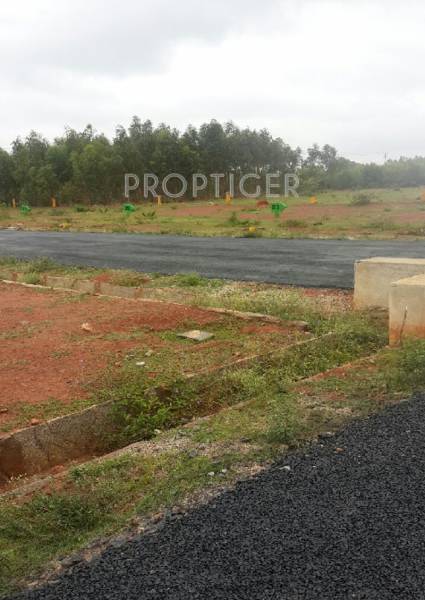 Images for Main Other of Transcity Orchid Paradise