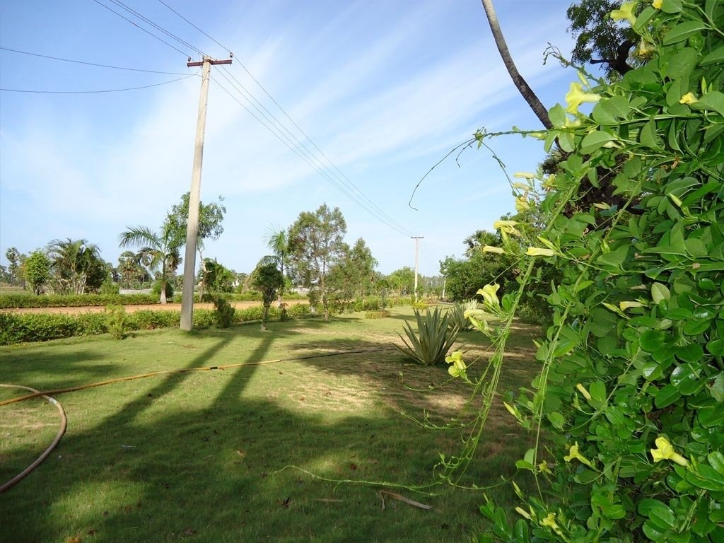 Images for Amenities of Pallavarajha Hidden Bay