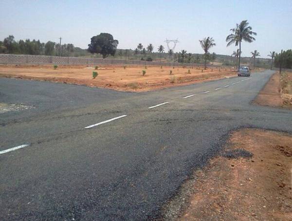 Images for Amenities of Transcity Aerolights County