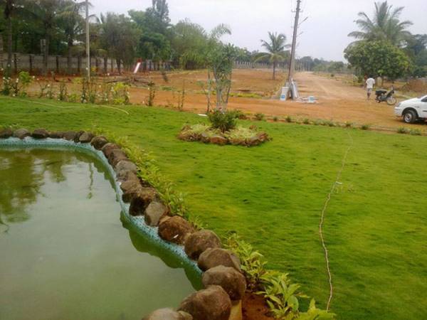 Images for Main Other of Transcity Trans Gardenia