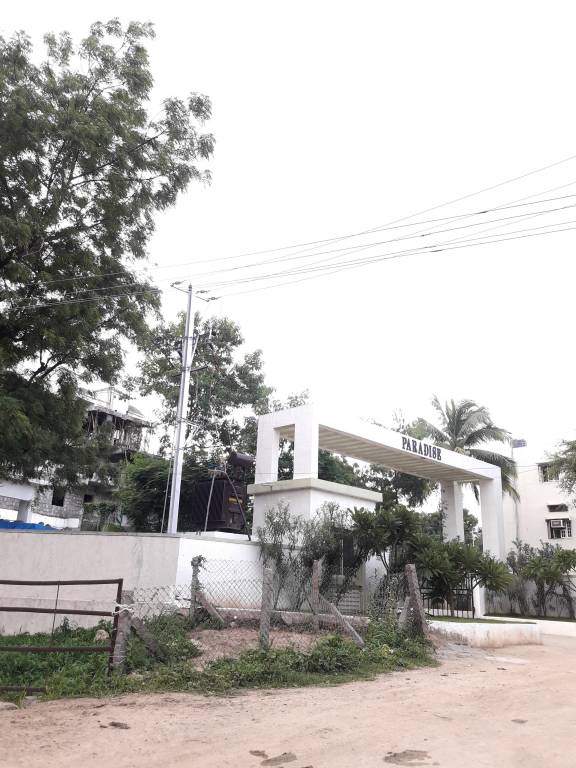 paradise Images for Project