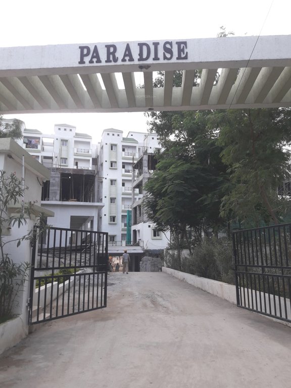 paradise Images for Project