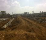 Images for Main Other of Transcity Trans Praghathi Images for Main Other of Transcity Trans Praghathi