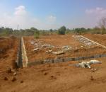 Images for Main Other of Transcity Trans Praghathi Images for Main Other of Transcity Trans Praghathi