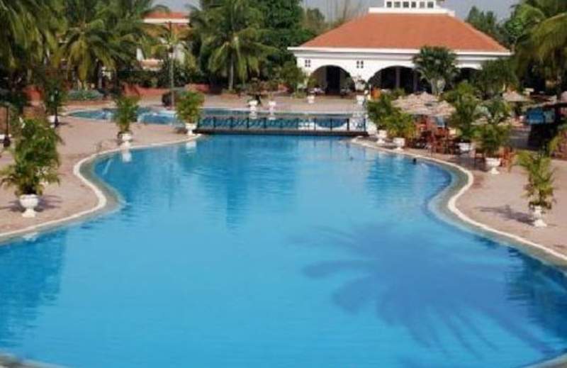  palm meadows Swimming Pool