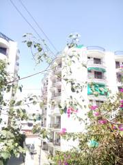 Project Image Project Image