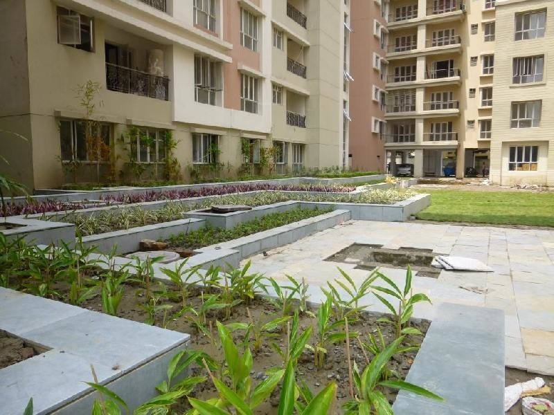 clubtown heights Others