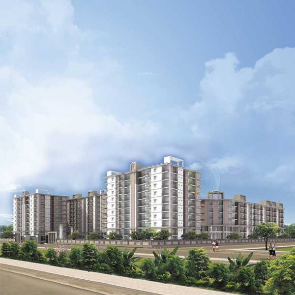 Elevation gardenia Elevation