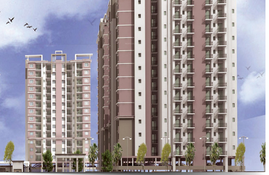 Elevation gardenia Elevation