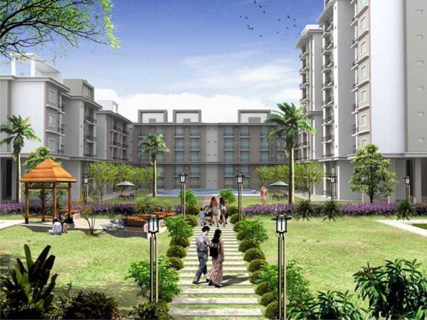 Others gardenia Others