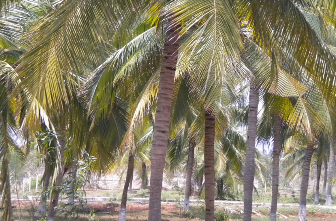 Images for Amenities of Vasundhara Lorvens Fortune Club