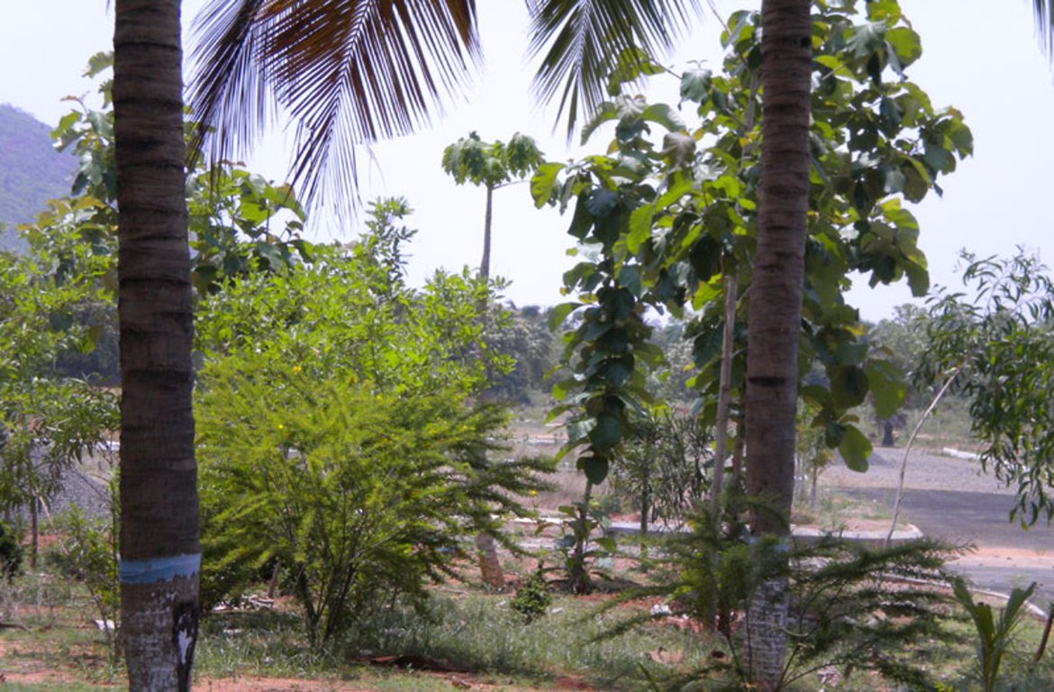 Images for Amenities of Vasundhara Lorvens Fortune Club