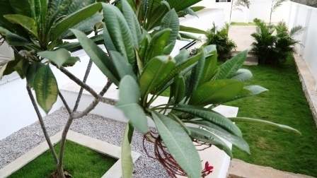 Images for Amenities of Pradeep Srinilaya Sterling Court II