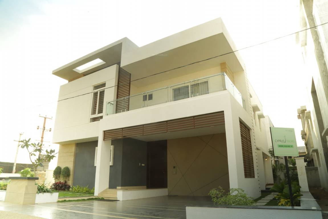 Images for Elevation of Sri Cypress Palms