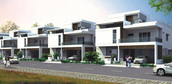 Images for Elevation of Sri Cypress Palms