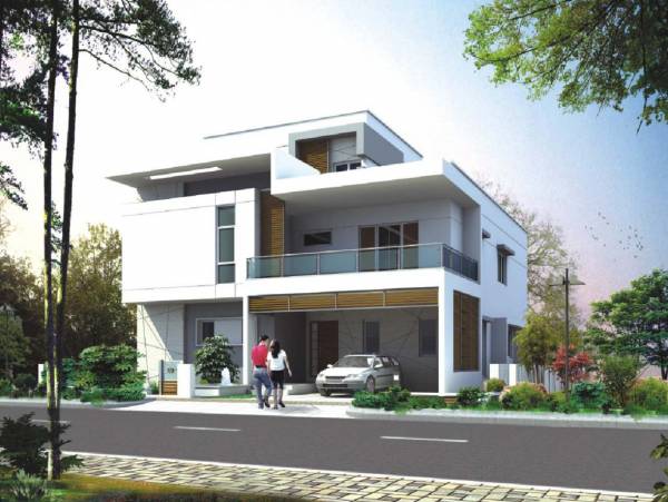 Images for Elevation of Sri Cypress Palms