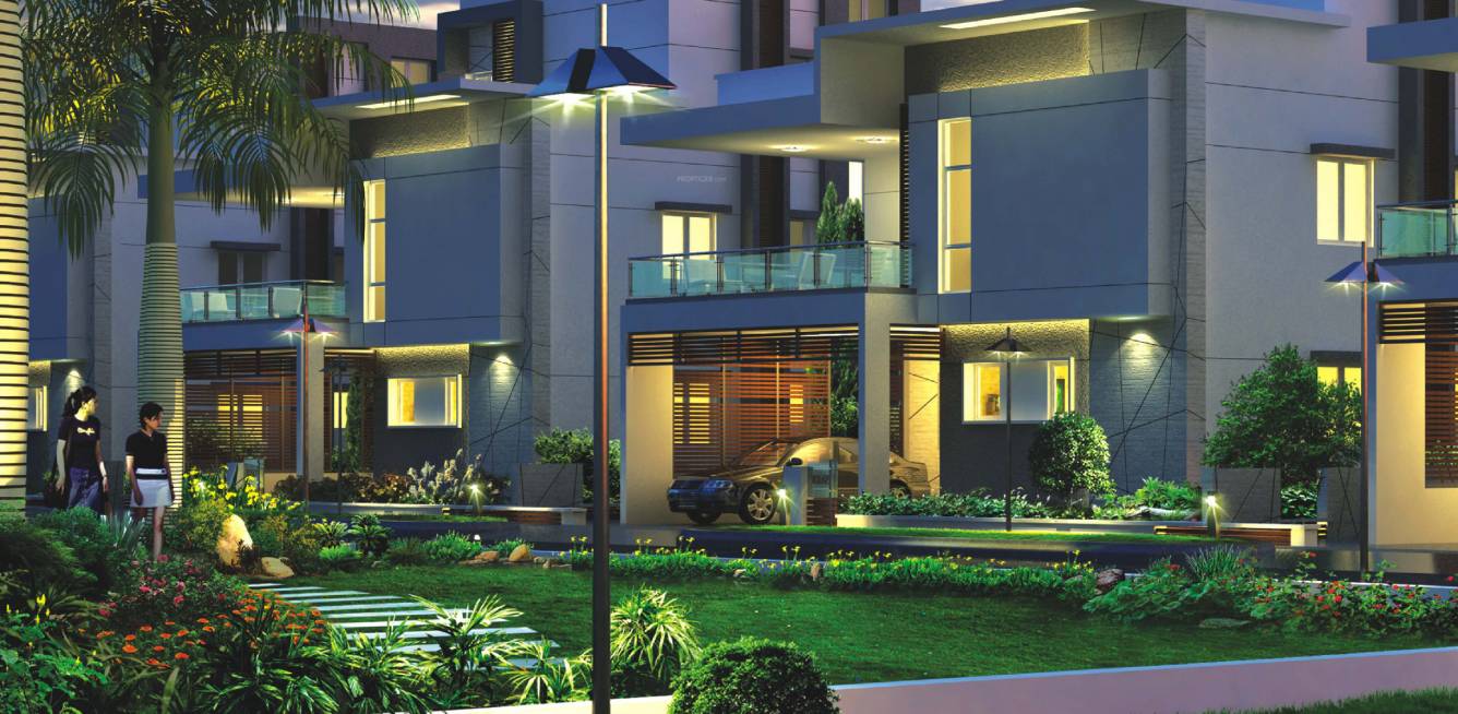 Images for Elevation of Sri Cypress Palms