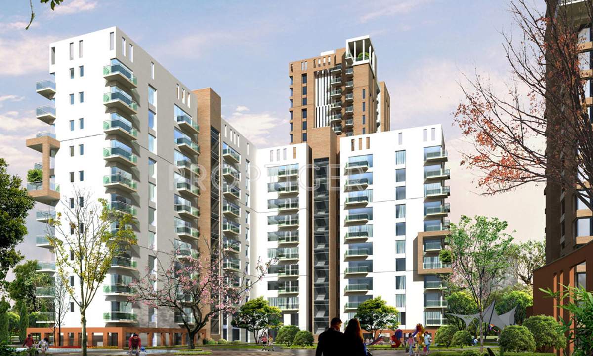  park Images for Elevation of Pioneer Pioneer Park PH 1