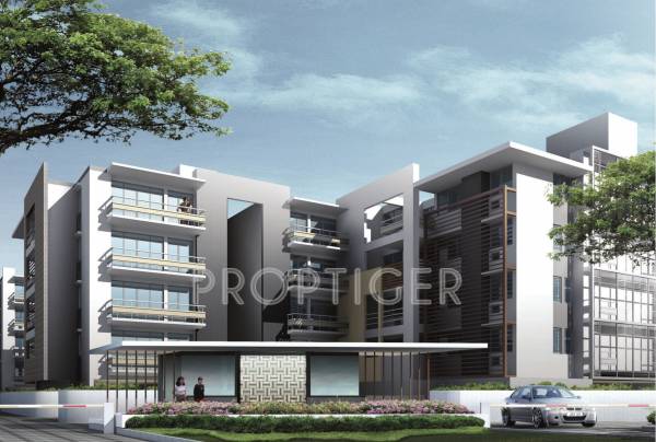 Images for Elevation of Conscient Infrastructure Arborea