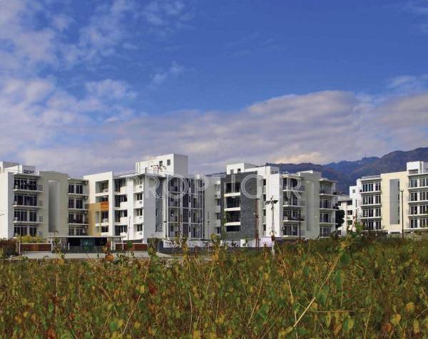 Images for Elevation of Conscient Infrastructure Arborea Images for Elevation of Conscient Infrastructure Arborea