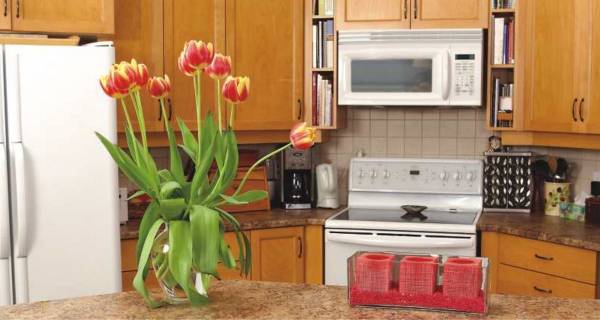  hill-top-residency Kitchen