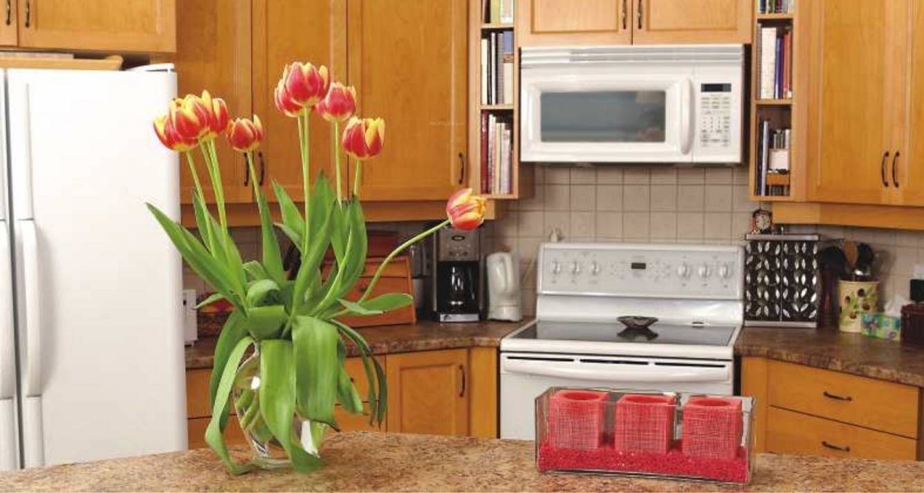  hill top residency Kitchen