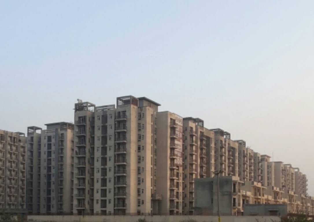  park elite premium Images for Project