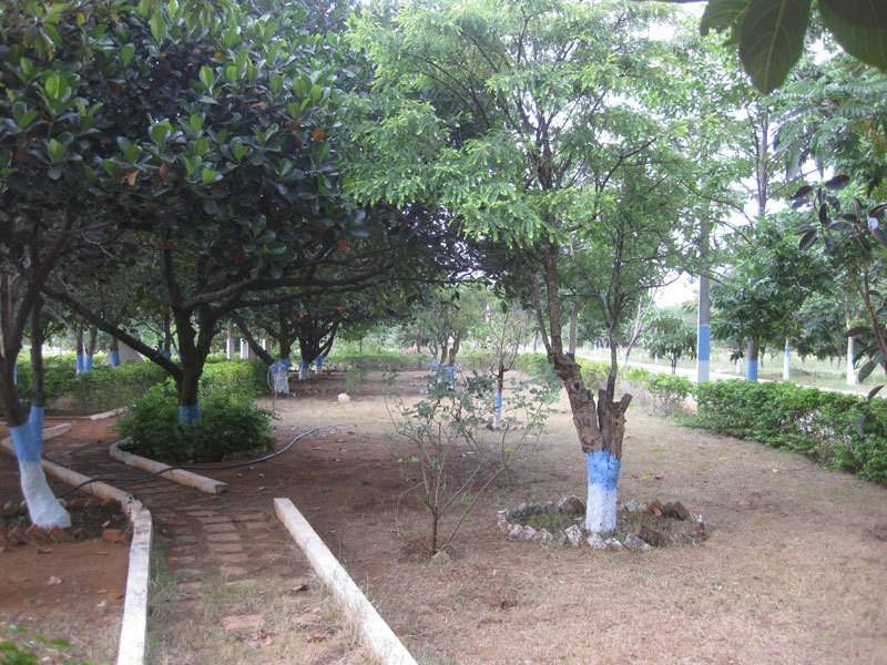 Images for Amenities of Vasundhara Lorvens Paradise