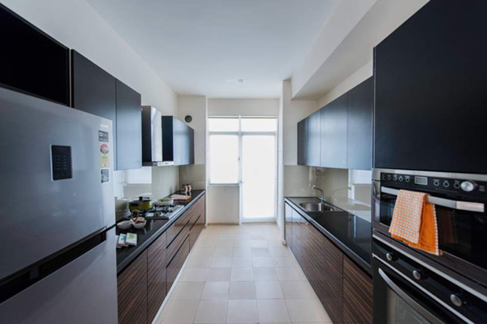  the park Images for Main Other of Vatika The Park