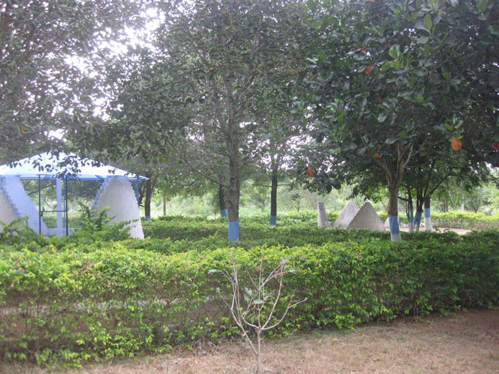Images for Amenities of Vasundhara Lorvens Gold Leaf