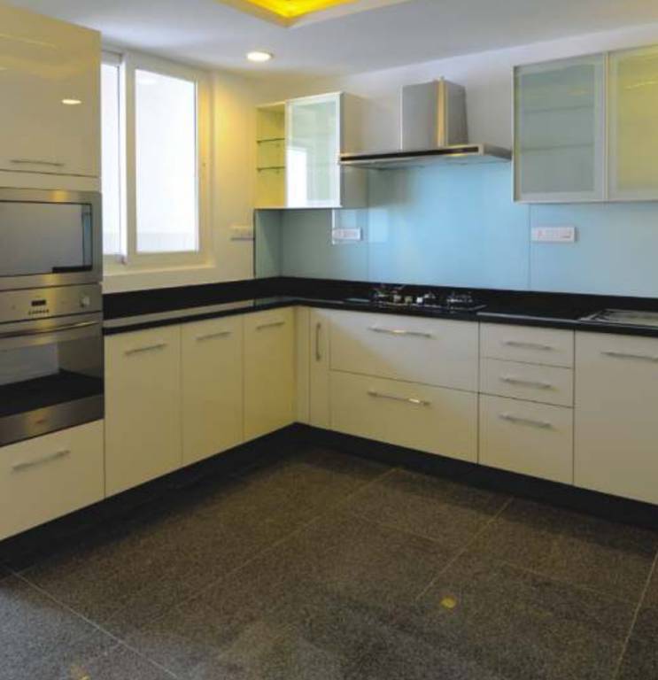 Images for Main Other of Legend Suraj