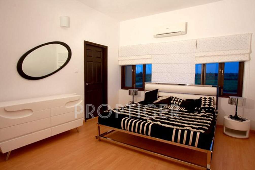 Images for Main Other of Sark One