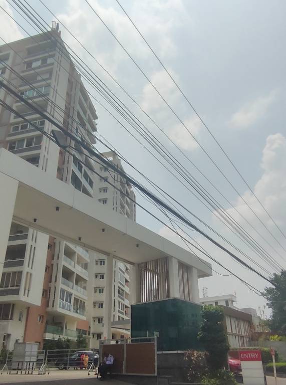  fortune prime Elevation