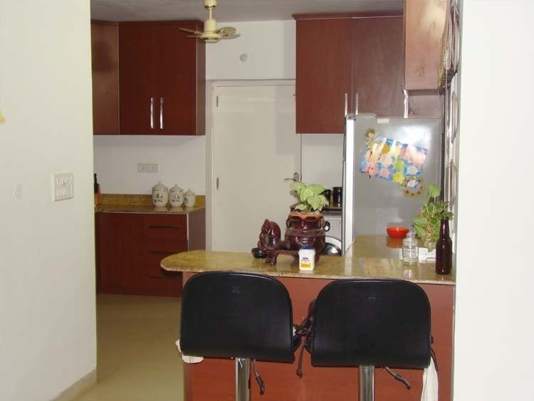 Images for Main Other of Skypx Oaks