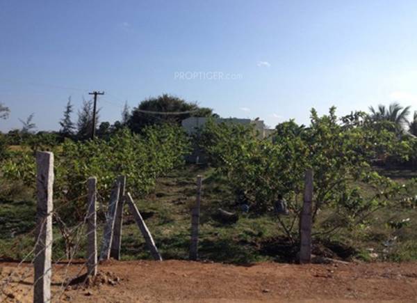 Images for Main Other of Vamanan Estates MM Nagar Phase 2 Images for Main Other of Vamanan Estates MM Nagar Phase 2