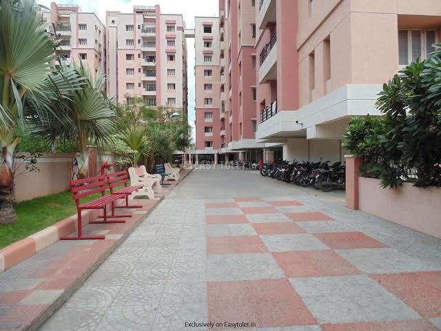 central court Elevation