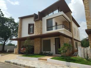  tranquillas Images for Project