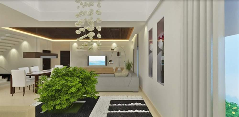  tranquillas Images for Main Other of Ramky Tranquillas