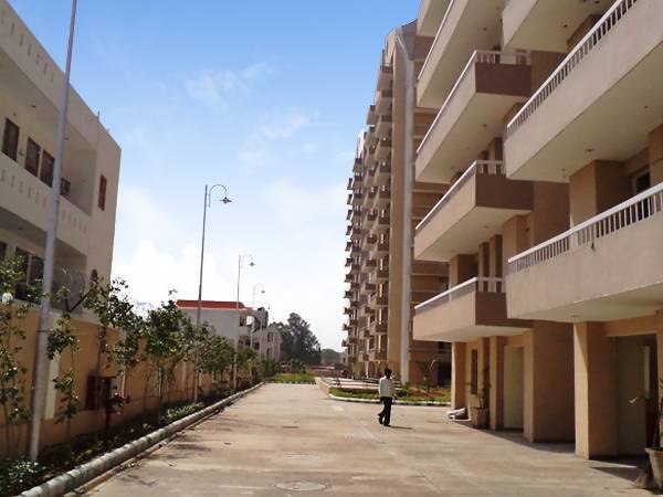 Images for Elevation of Zion Lakeview