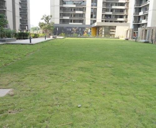  malabar-county Landscape Garden and Tree Planting