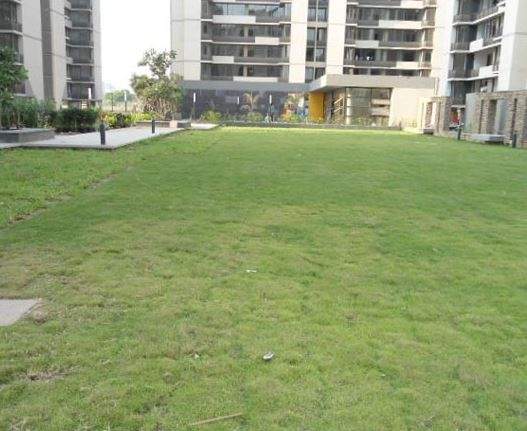  malabar county Landscape Garden and Tree Planting