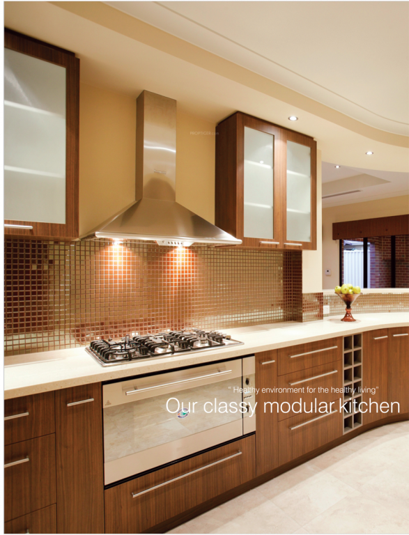 Images for Main Other of Green Amans Lifestyle