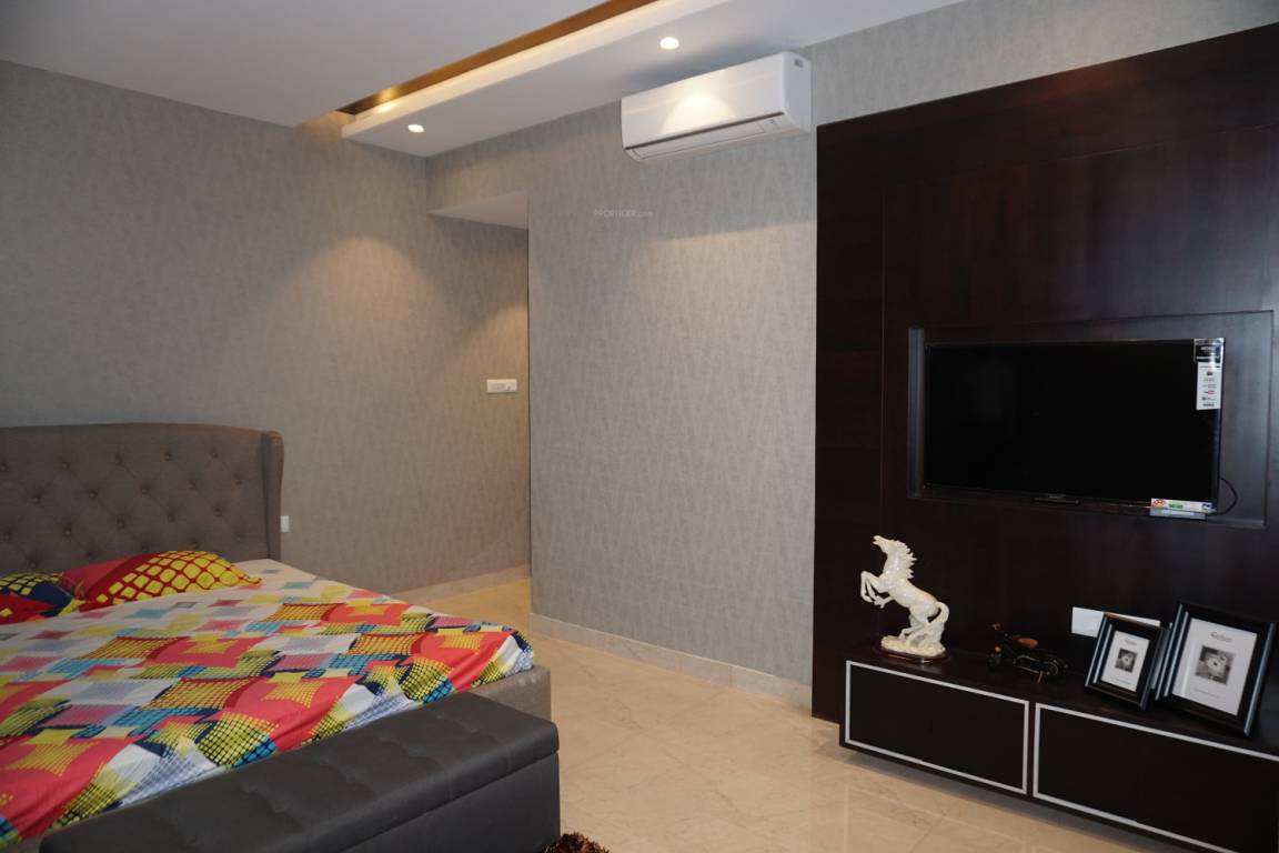 Images for Main Other of Orbit Ashwa