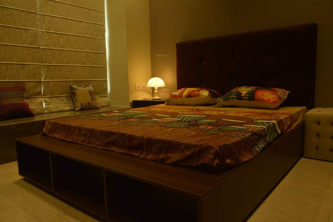 Images for Main Other of Orbit Ashwa