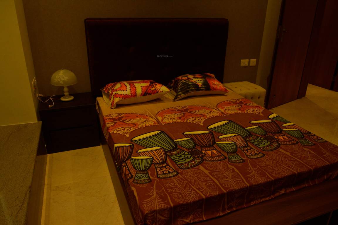 Images for Main Other of Orbit Ashwa