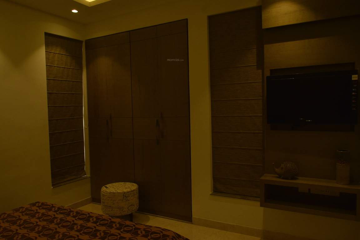 Images for Main Other of Orbit Ashwa