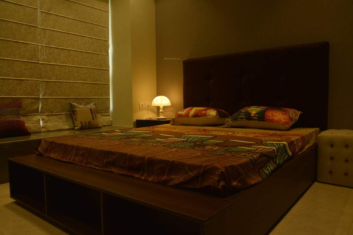 Images for Main Other of Orbit Ashwa