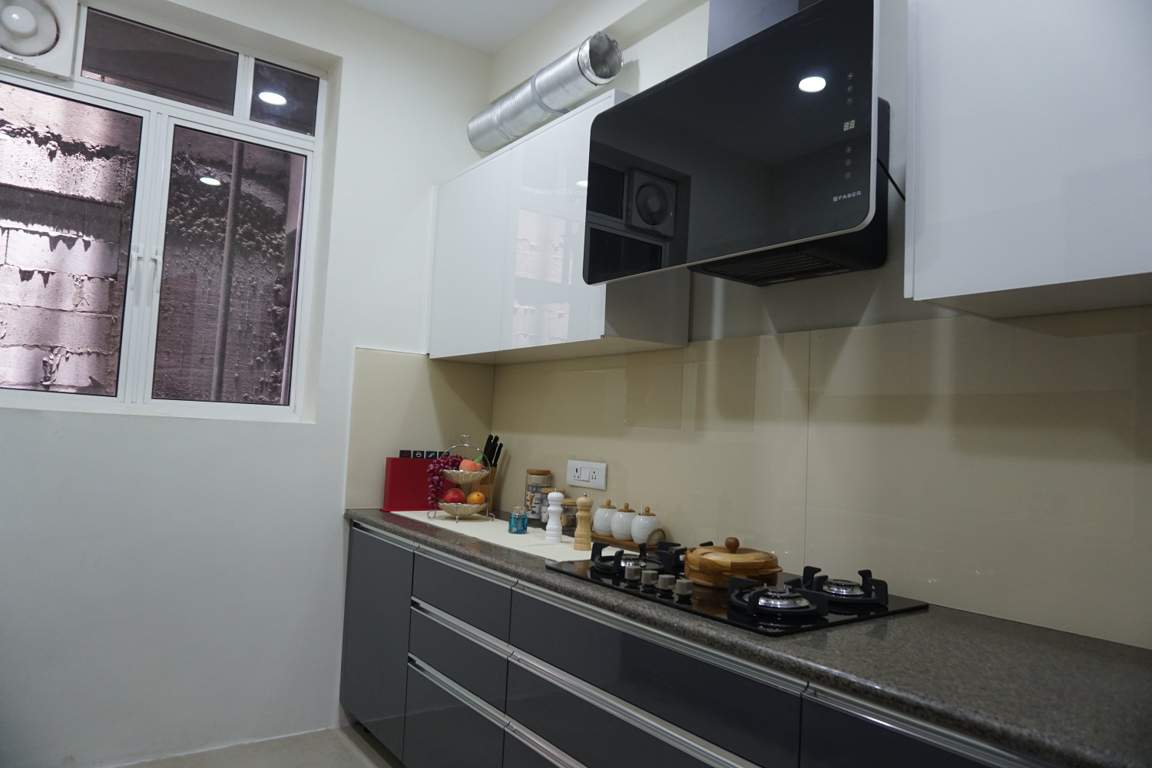 Images for Main Other of Orbit Ashwa